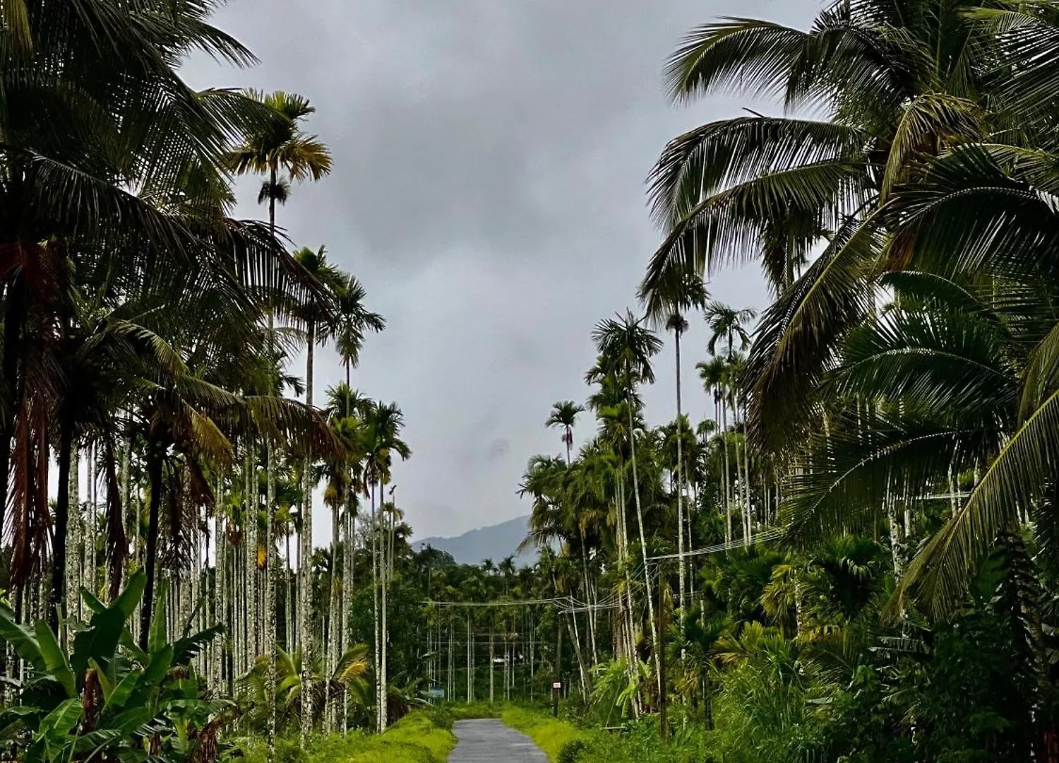 Swasta Royal Villas Wayanad Kaniyāmbetta 0*,  Indien